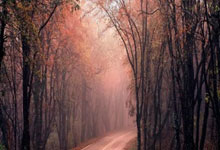 天涯小说神贴：那些年我们疯狂收藏的帖子！