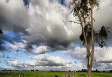 天涯炒股神贴：炒股秘籍大公开！